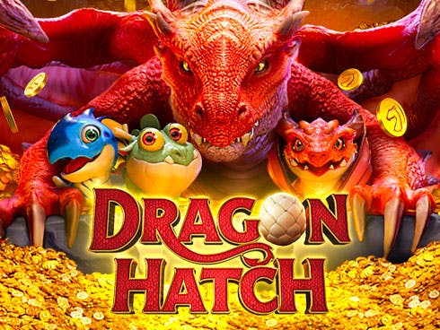 Dragon Hatch